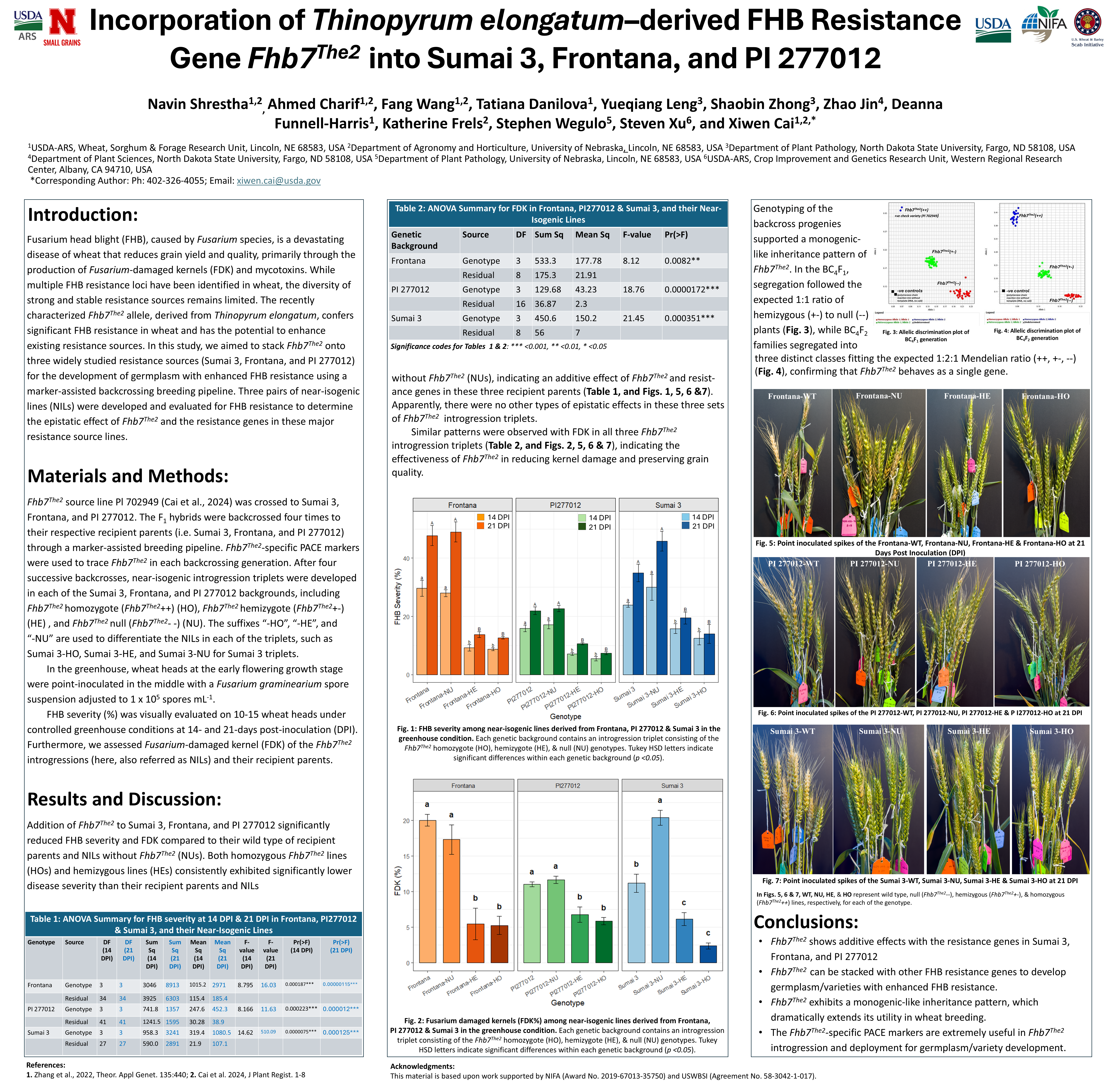 Poster thumbnail for Incorporation of <em>Thinopyrum elongatum</em>–derived FHB Resistance Gene <em>Fhb7<sup>The2</sup></em> into 'Sumai 3', 'Frontana', and PI 277012