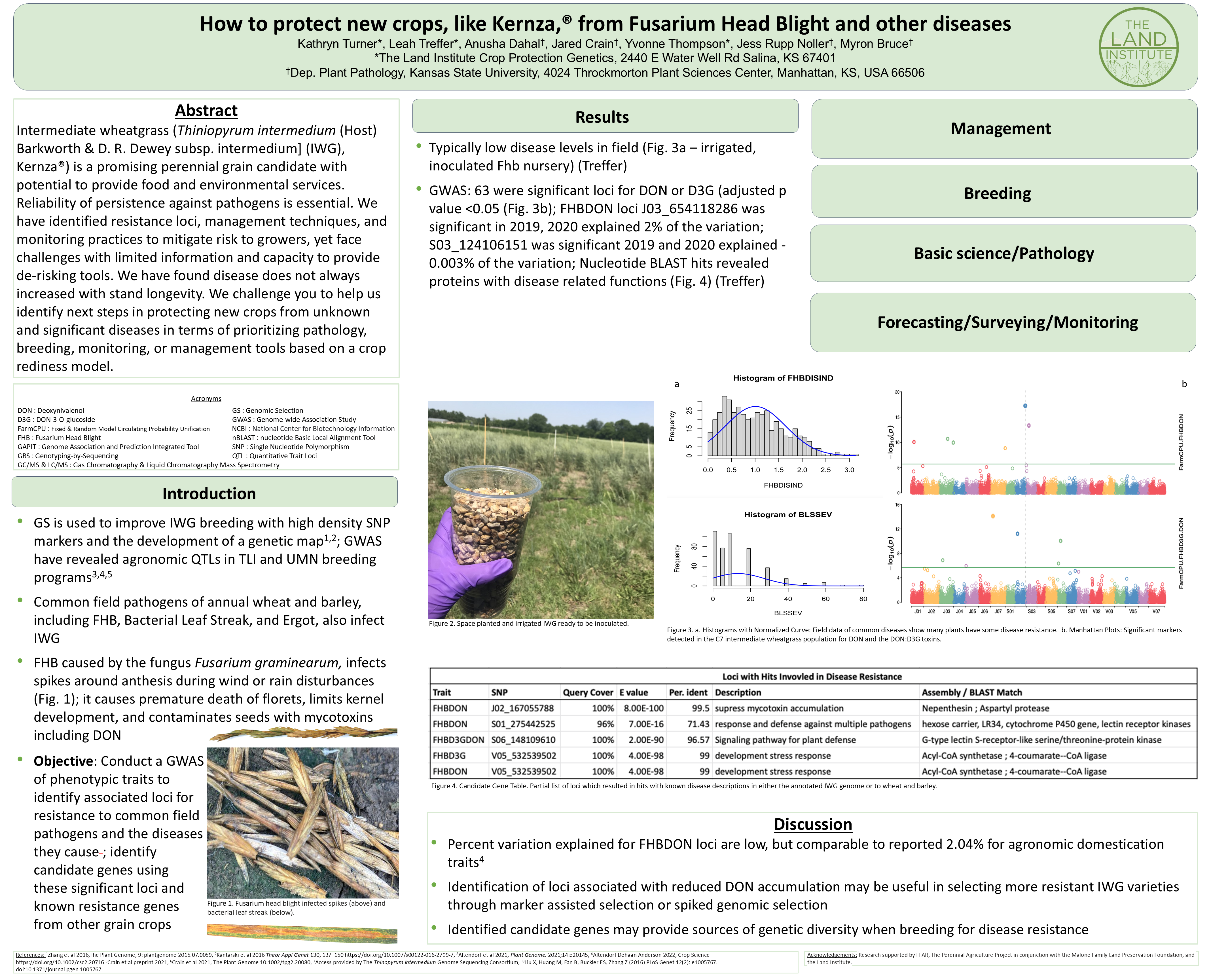 Poster thumbnail for Approach to Addressing FHB And Other Disease Threats in Novel Perennial Grain Crops Such as Kernza®
