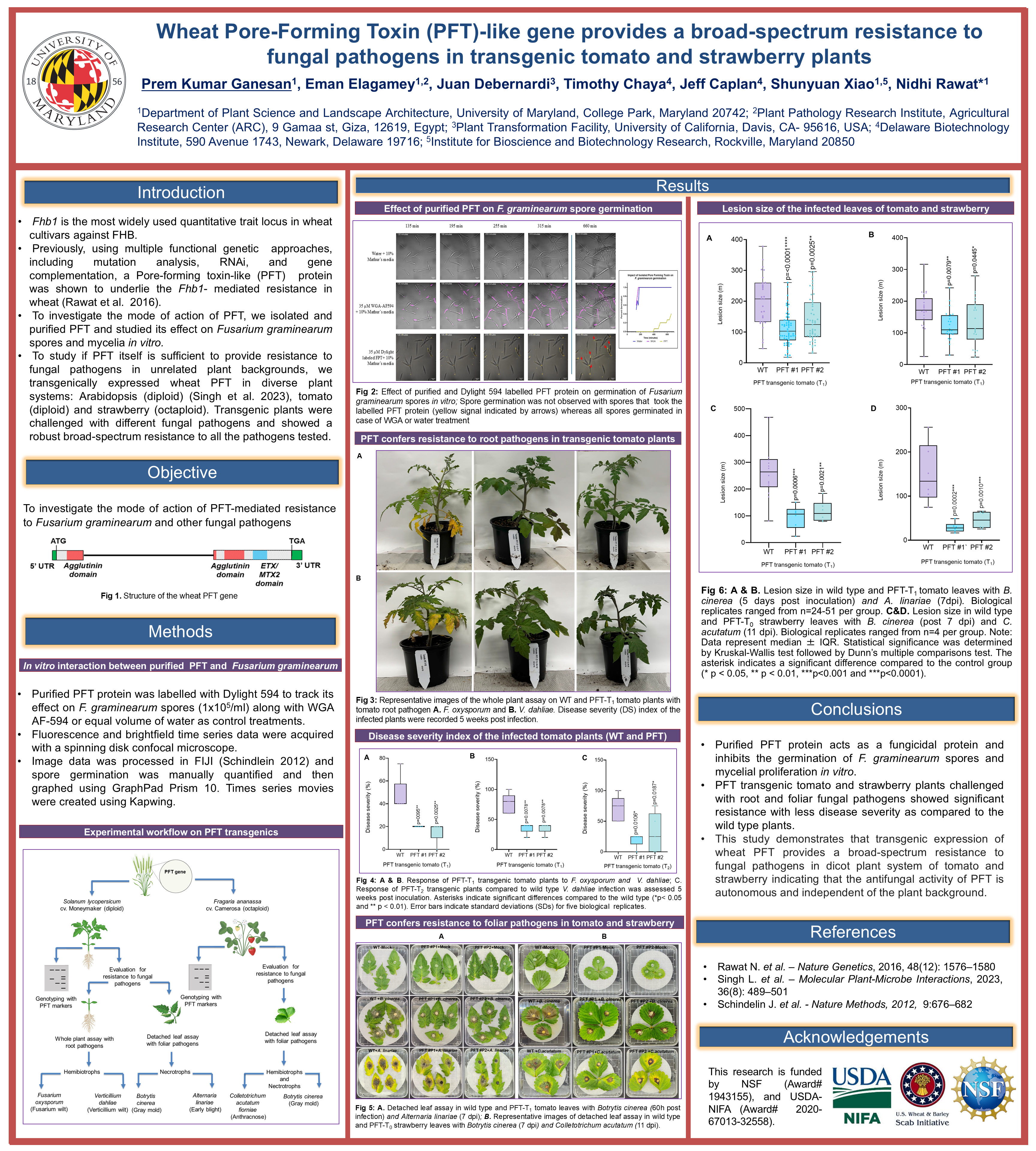 Poster thumbnail for Overexpression of Wheat Pore-Forming Toxin-like Gene in Transgenic Plants of Tomato and Strawberry Provides Broad Spectrum Resistance to Fungal Pathogens