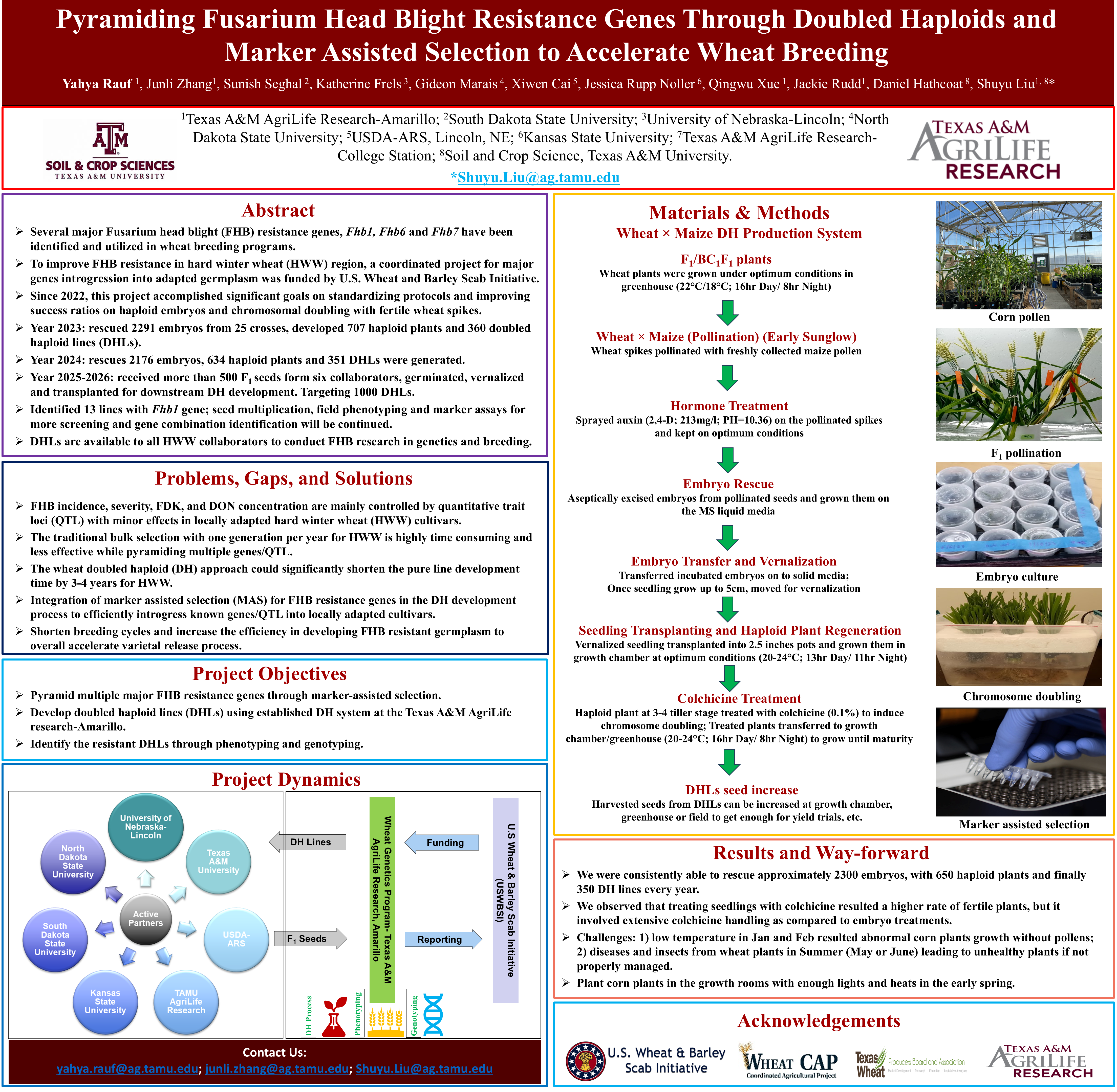 Poster thumbnail for Pyramiding the Fusarium Head Blight Resistance Genes Through Doubled Haploids to Accelerate Wheat Breeding