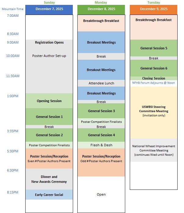 program