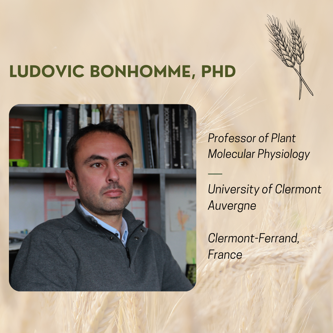 Ludovic_Bonhomme