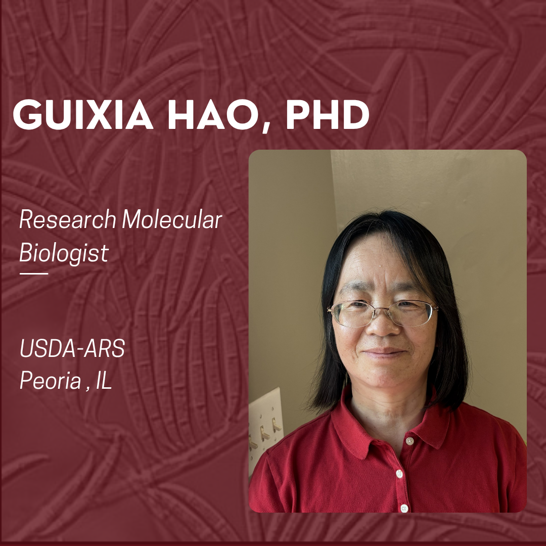 Red background, with picture of Guixia Hao in a red shirt with black hair and glasses