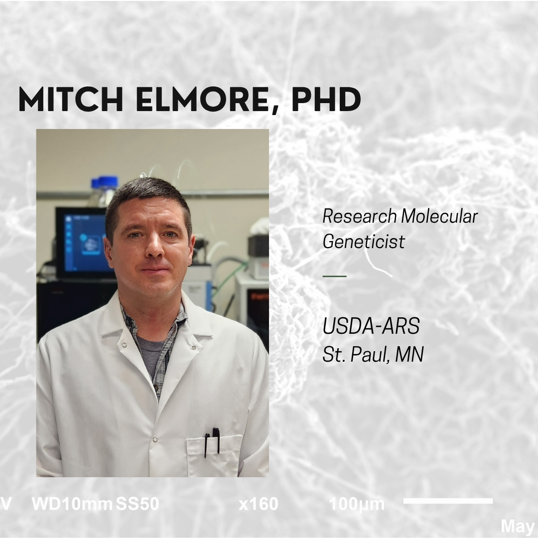 mitch-elmore