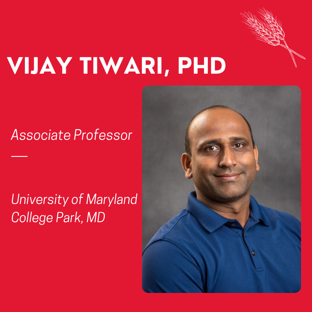 Designed image of Vijay Tiwari