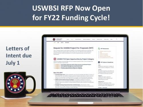 Is barley a grain picture