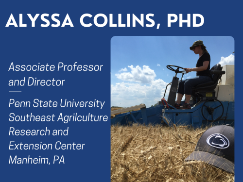 White and blue background with text describing Alyssa and a photo of her driving a combine with a penn state hat stitting on top wheat heads.